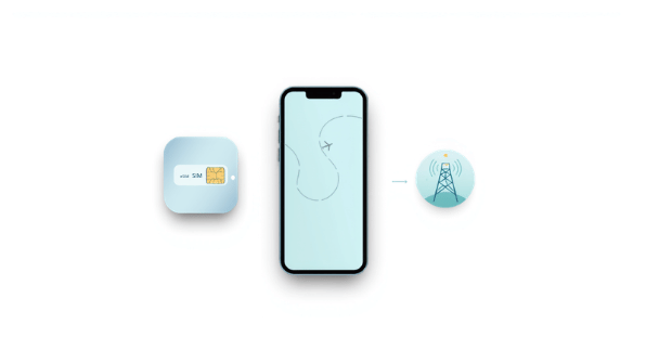 Телефон с eSIM и локальная оплата из Узбекистана